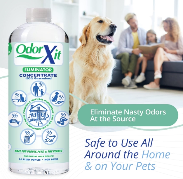 Natural odor online eliminator for dogs