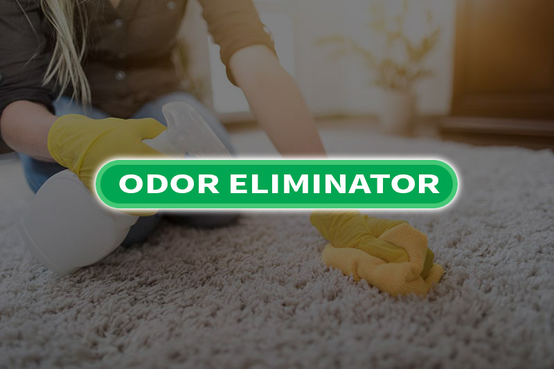 OdorXit Eliminator vs. Traditional Air Fresheners: What Really Works for Odor Removal?