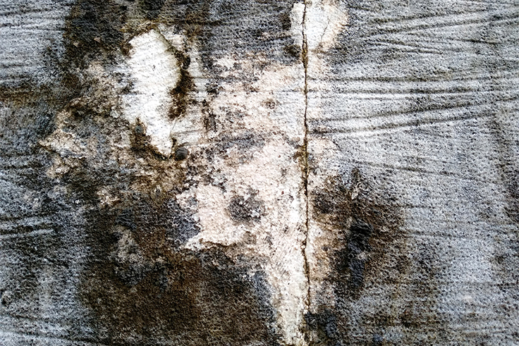 Caulk