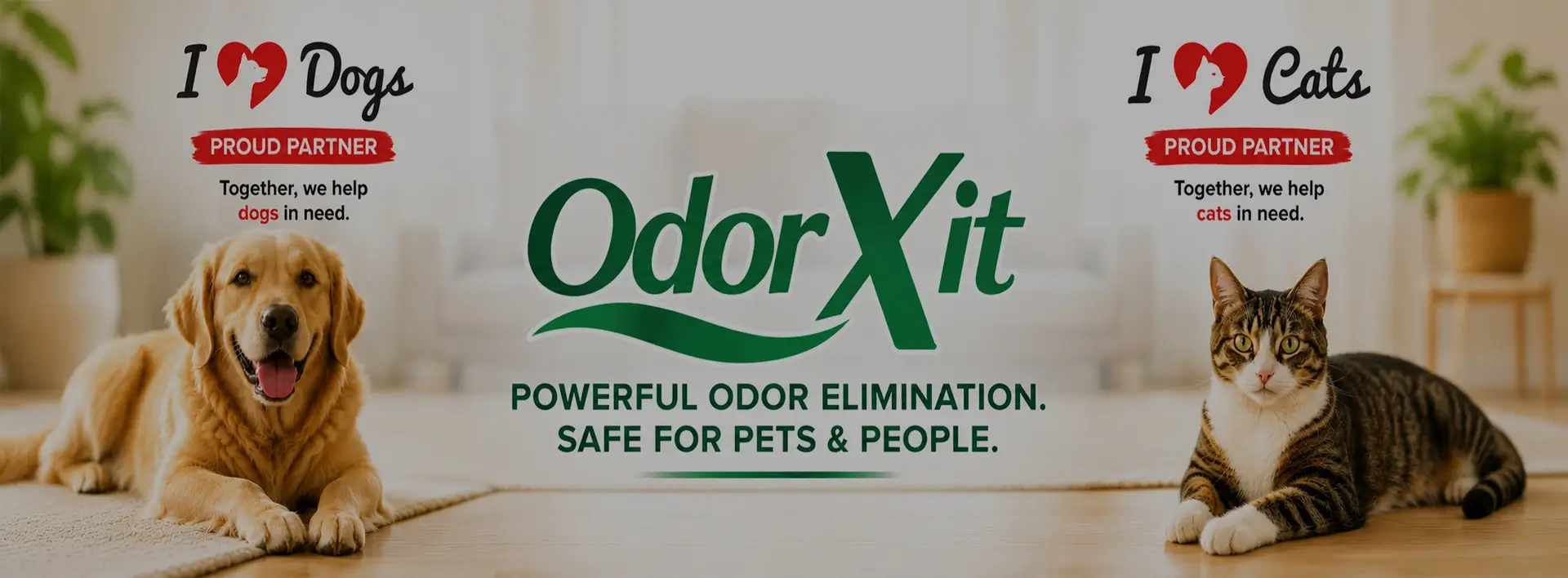 OdorXit